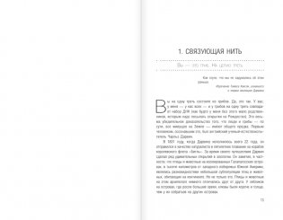 Странные вопросы о Вселенной, или Как сделать Солнце из бананового пюре фото книги 5