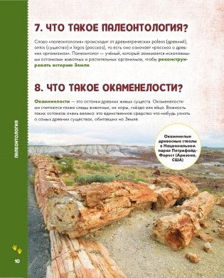 Динозавры фото книги 11
