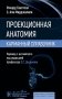 Проекционная анатомия. Карманный справочник фото книги маленькое 2