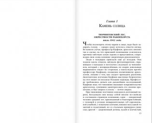 Каменное зеркало фото книги 6