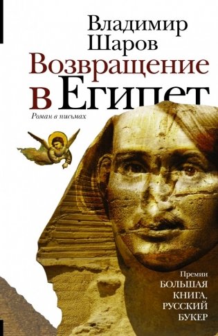 Возвращение в Египет фото книги