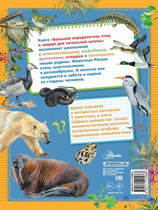Большой определитель птиц и зверей для начальной школы фото книги 2