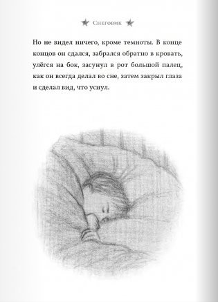 Снеговик фото книги 5