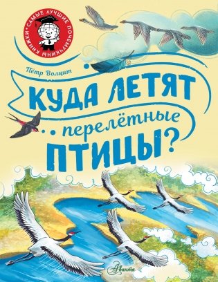 Куда летят перелётные птицы? фото книги