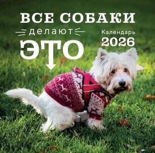 Все собаки делают это. Календарь настенный на 2026 год фото книги