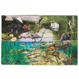 Книга с окошками "В мире животных" фото книги 3