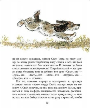 Берестяная трубочка фото книги 5