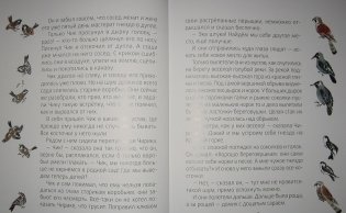 Лесные разведчики фото книги 4