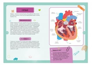 Детская энциклопедия. Тело человека фото книги 6