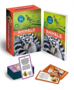 Animals: Book and Fact Cards фото книги