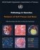 WHO Classification of Tumours Pathology & Genetics of Tumours of the Soft Tissue & Bone фото книги маленькое 2