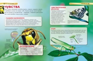 Насекомые. Детская энциклопедия фото книги 3