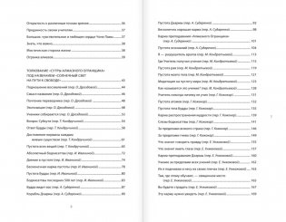 Мудрость Алмазного Огранщика: солнечный свет на пути к свободе фото книги 3