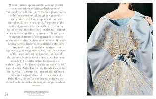 Flowers of Yves Saint Laurent фото книги 7