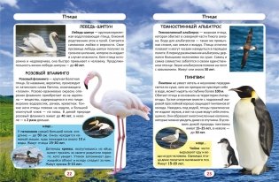 Мир вокруг нас. Кто сколько живет? Фотоэнциклопедия фото книги 3