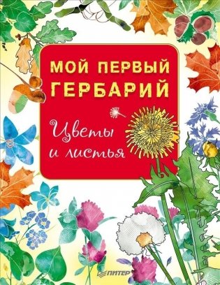 Мой первый гербарий. Цветы и листья фото книги