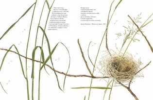Книга злаков и трав фото книги 2