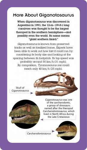 Dinosaurs: Book and Fact Cards фото книги 3