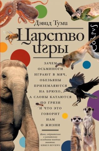 Царство игры фото книги