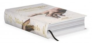 Michelangelo. The Complete Paint., Sculp. and Arch. (Bibliotheca Universalis) фото книги 4