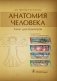 Анатомия человека. Атлас для педиатров фото книги маленькое 2