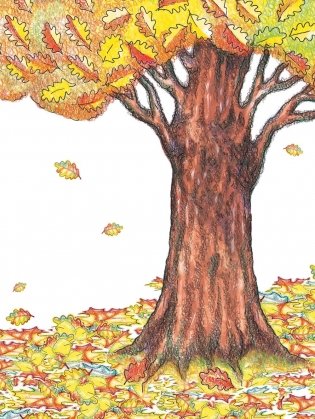 Жыве ўсюды прыгажосць фото книги 11