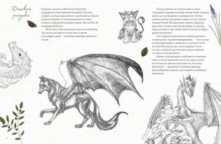 Selcha Uni. Артбук фото книги 3