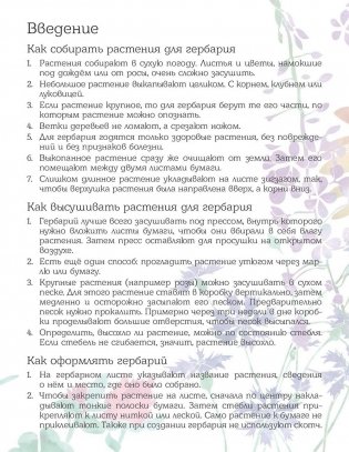 Мой первый гербарий. Цветы и листья фото книги 2
