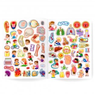 Атлас с наклейками. Тело человека фото книги 3