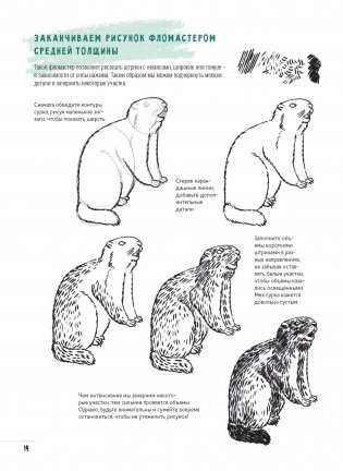 Создаем наброски животных и птиц шаг за шагом. Скетчбук начинающего художника (зеленый, зебра) фото книги 4