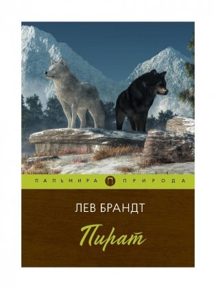Пират. Повести и рассказы фото книги