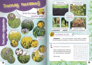 Ласункі агарода, саду, лесу. Узбагачаем слоўнікавы запас, выконваем заданні, пашыраем кругагляд (6-10 гадоў) фото книги 5