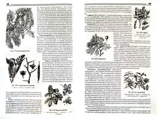 Пчеловоду России фото книги 2