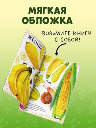 Приключения улитки Элли в мире фруктов и овощей (мягкая обложка) фото книги 6