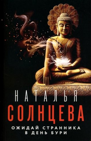 Ожидай странника в день бури. Роман фото книги