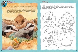 Кто живёт в лесу? Книжка-активити с развивающими заданиями, головоломками, наклейками фото книги 3