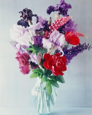 Алмазная мозаика 30*40 (класс) полное заполнение c подрамником (32цв), НЕОБЫЧНЫЕ ЦВЕТЫ фото книги
