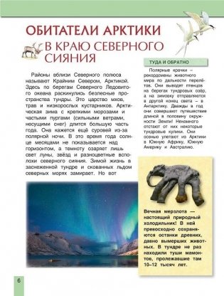 Животные России фото книги 5