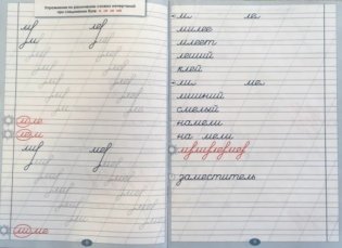 Тренажёр по исправлению почерка. Тетрадь №3. Русский язык. Для начальной школы. ФГОС фото книги 4