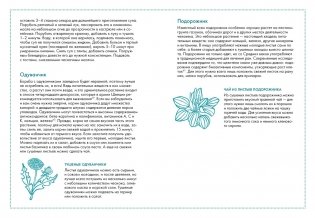 Friluftsliv: Норвежский ключ к счастливой жизни фото книги 8