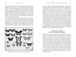 Жизнь проста. Как бритва Оккама освободила науку и стала ключом к познанию тайн Вселенной фото книги 4