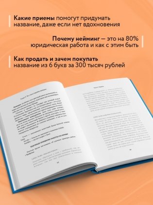 Нейминг. Понять. Придумать. Продать фото книги 5