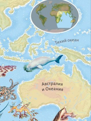 Моря и океаны. Иллюстрированный атлас фото книги 7