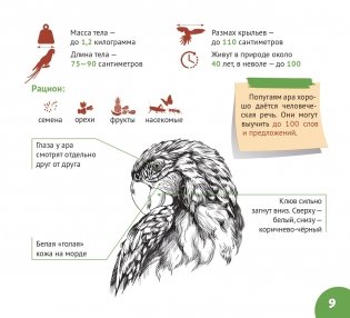 Сельва Амазонии фото книги 6