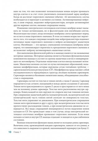 Анатомия упражнений на растяжку (новейшая редакция) фото книги 9