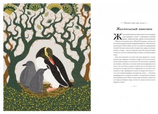 Книга исчезающих животных для неравнодушных сердец фото книги 6