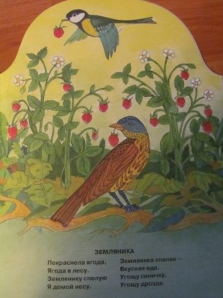 Что нам лето подарило? фото книги 7