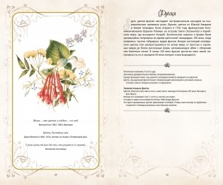 Тайный язык цветов фото книги 5