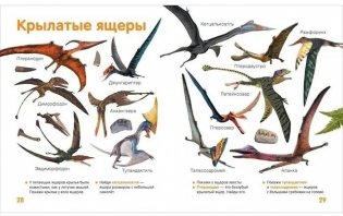 Динозавры. Твоя первая фотокнига фото книги 5