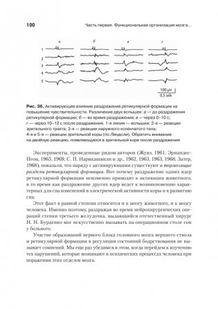 Основы нейропсихологии фото книги 12